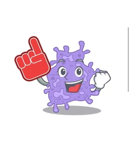 Staphylococcus- Gyulladás